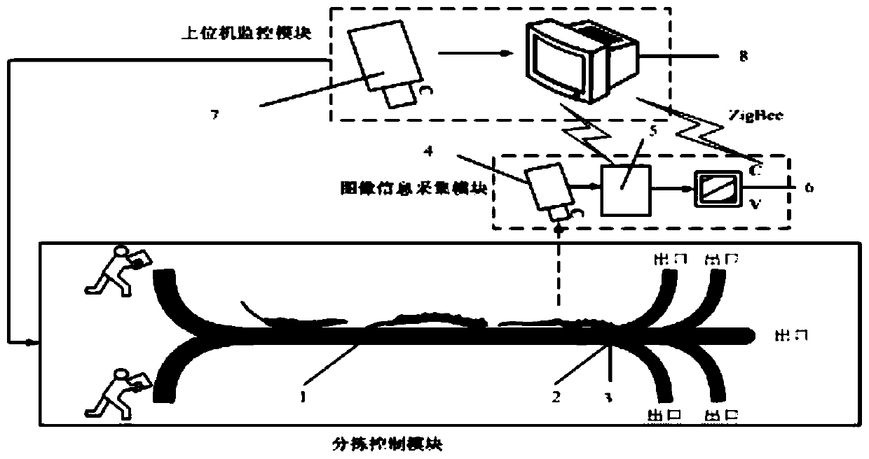 Cordyceps sinensis intelligent sorting system and using method thereof