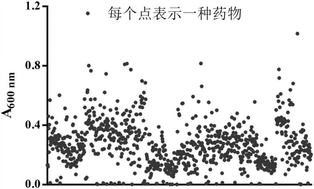 Novel use of pyrvinium pamoate in preparation of anti-mycobacterium tuberculosis drugs