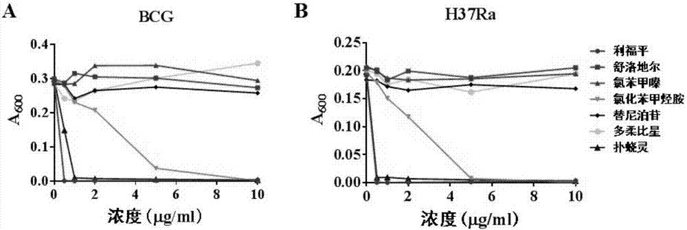 Novel use of pyrvinium pamoate in preparation of anti-mycobacterium tuberculosis drugs