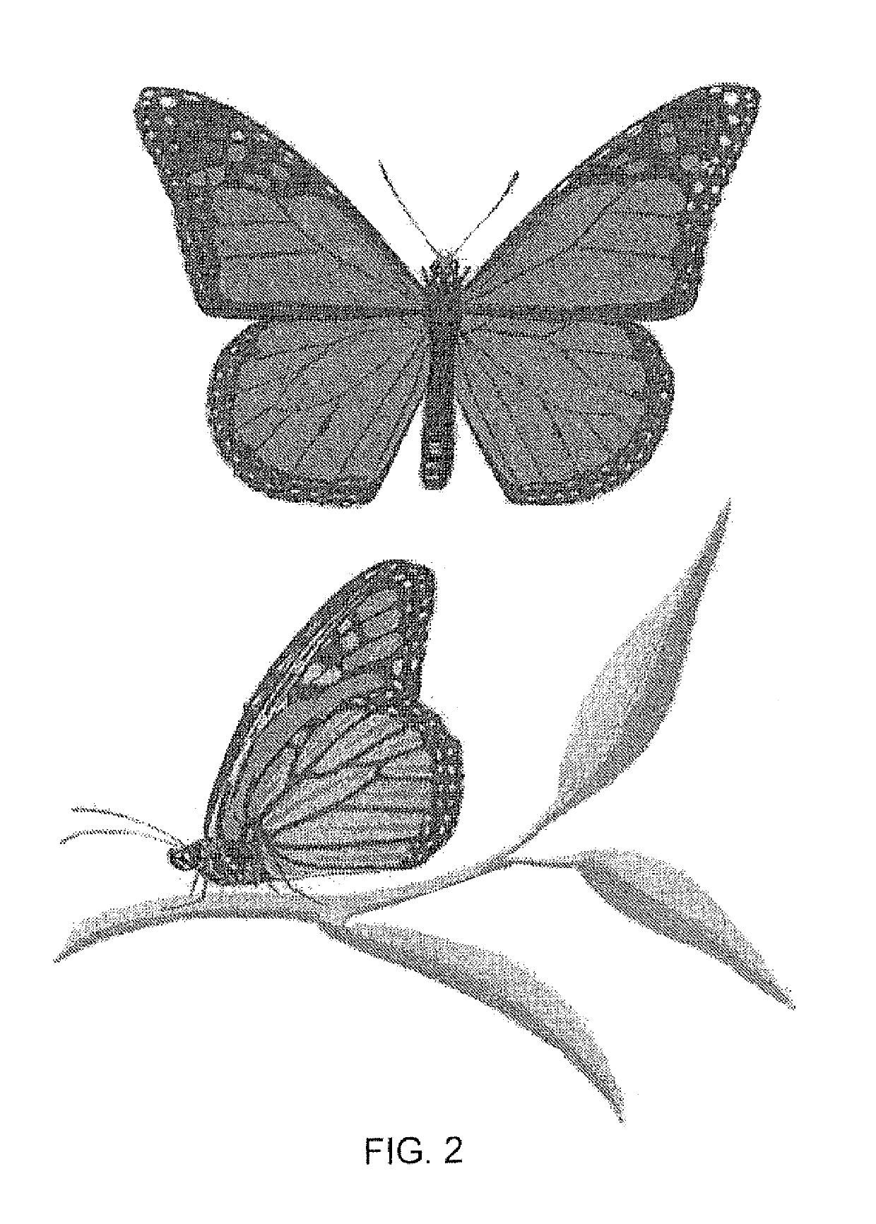 Method and System for Protecting Honey Bees, Bats and Butterflies From Neonicotinoid Pesticides