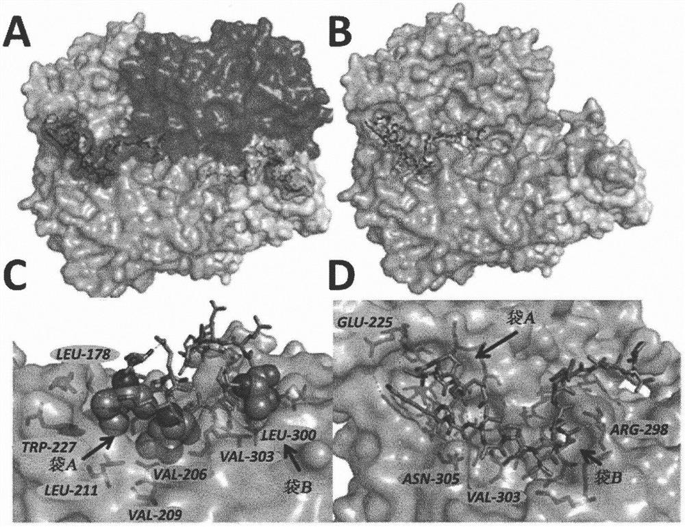 Lactate dehydrogenase inhibitor polypeptides for treatment of cancer