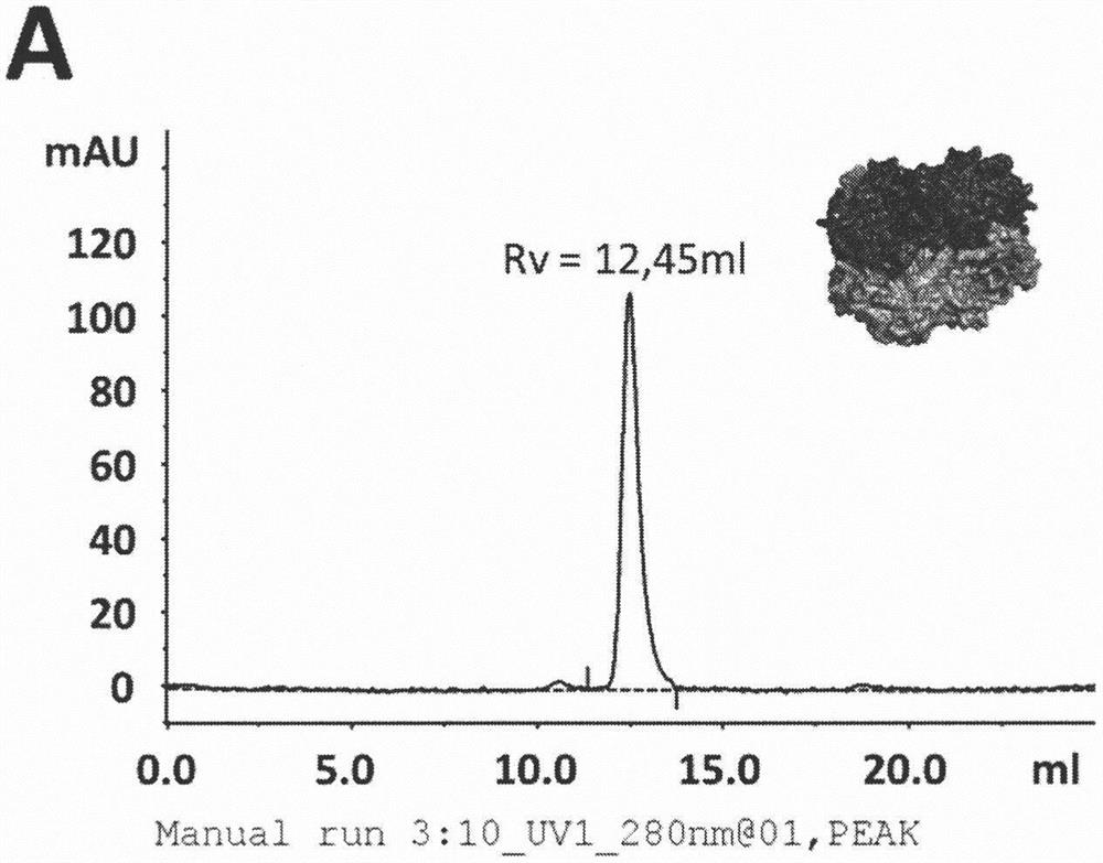 Lactate dehydrogenase inhibitor polypeptides for treatment of cancer