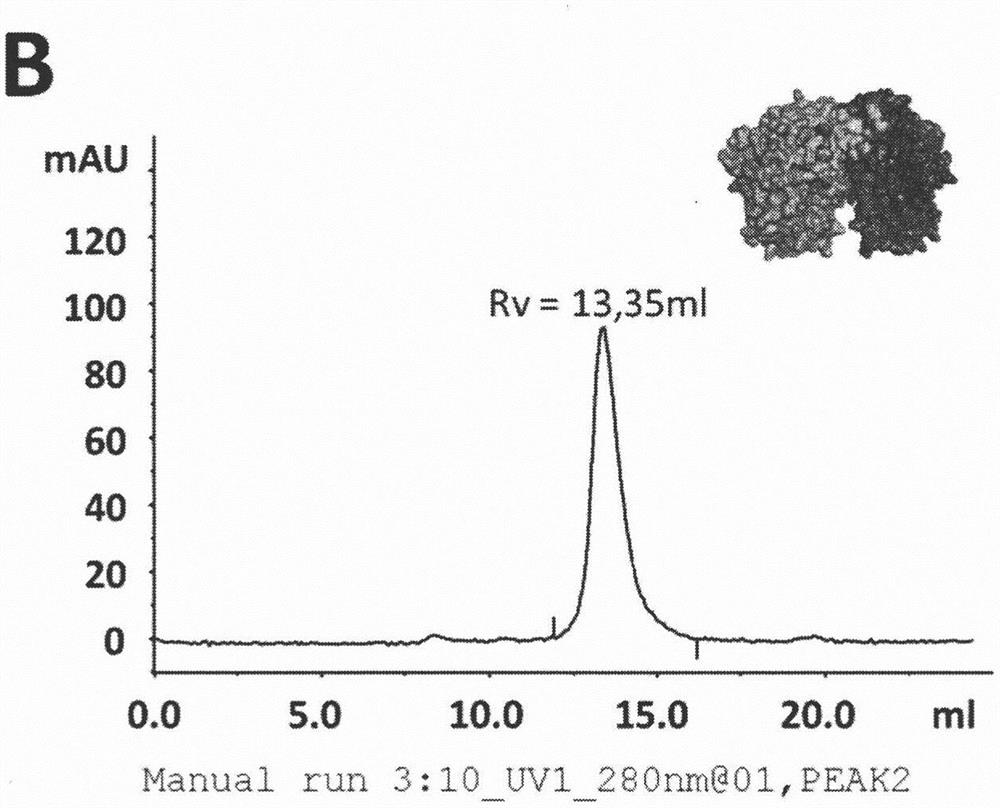 Lactate dehydrogenase inhibitor polypeptides for treatment of cancer