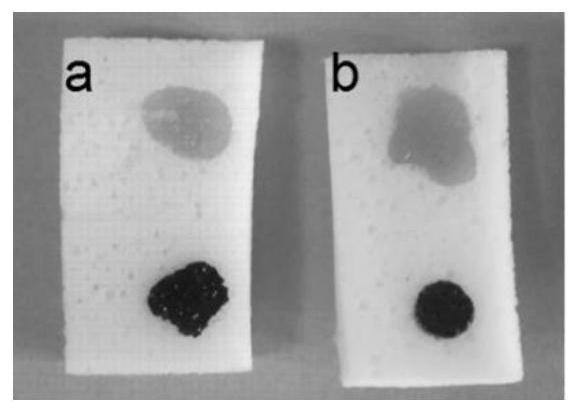 A kind of hydrophobic modification method of melamine sponge and its product and application