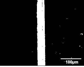 Flexible copper indium gallium selenium thin film solar cell module and preparation method thereof