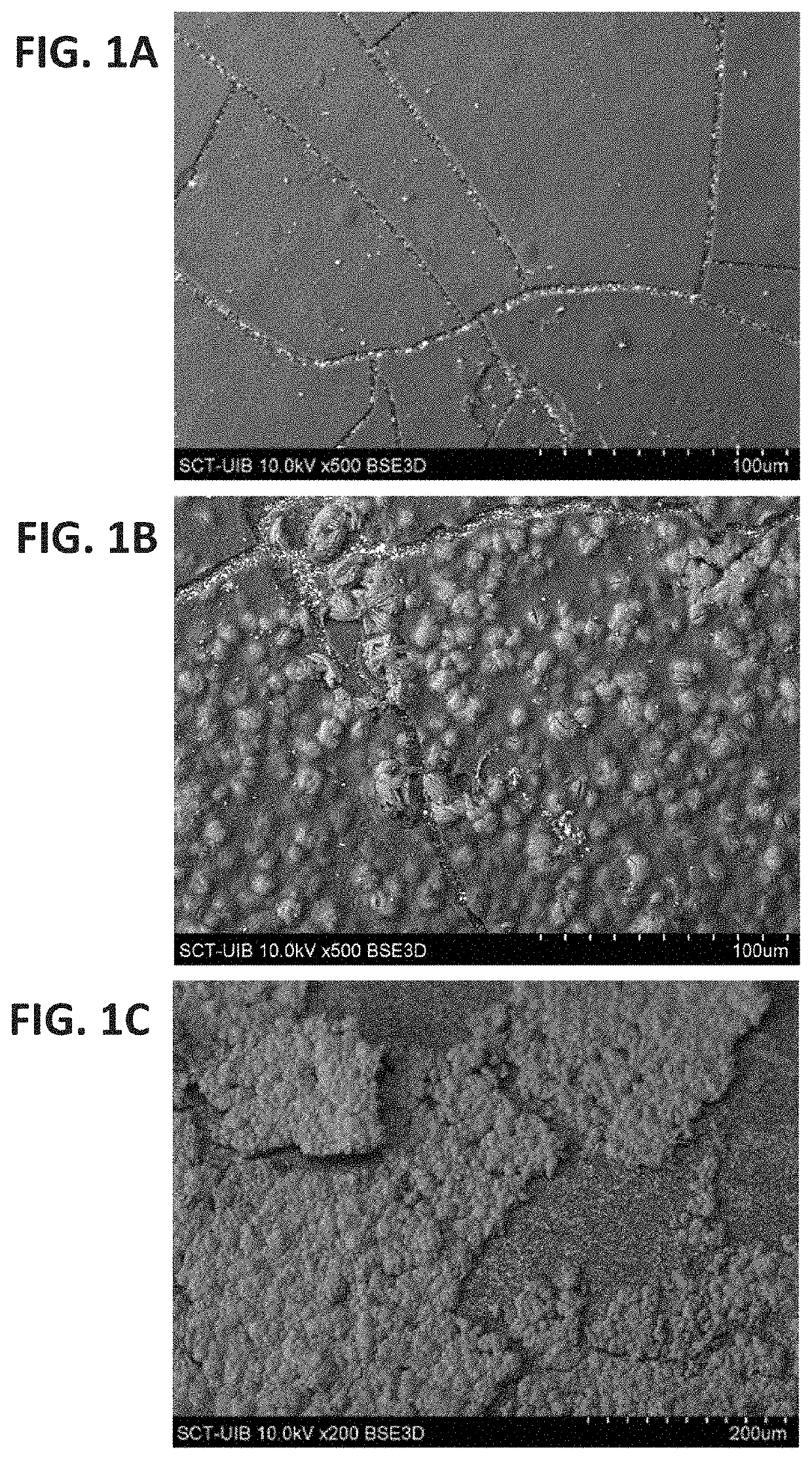 Prevention of urinary tract device encrustation