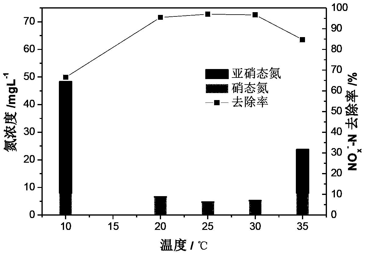 Facultative anaerobic denitrifying bacterium with self-flocculation capability and purpose thereof