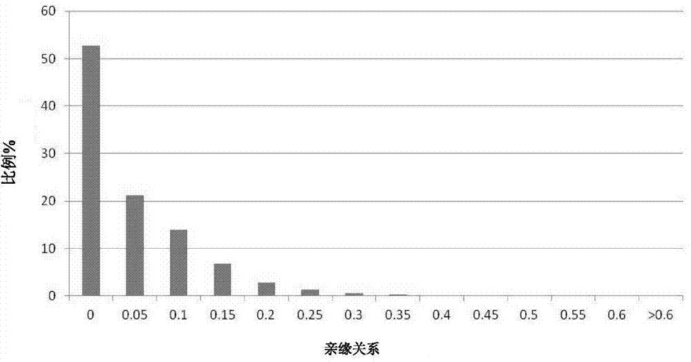 Obtaining method and application of molecular markers related to chrysanthemum drought resistance
