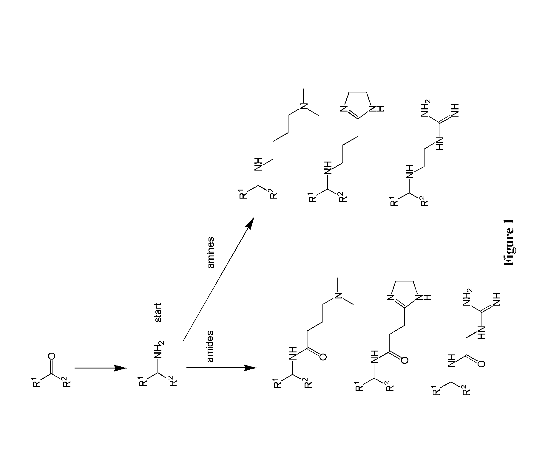 Amine Cationic Lipids and Uses Thereof
