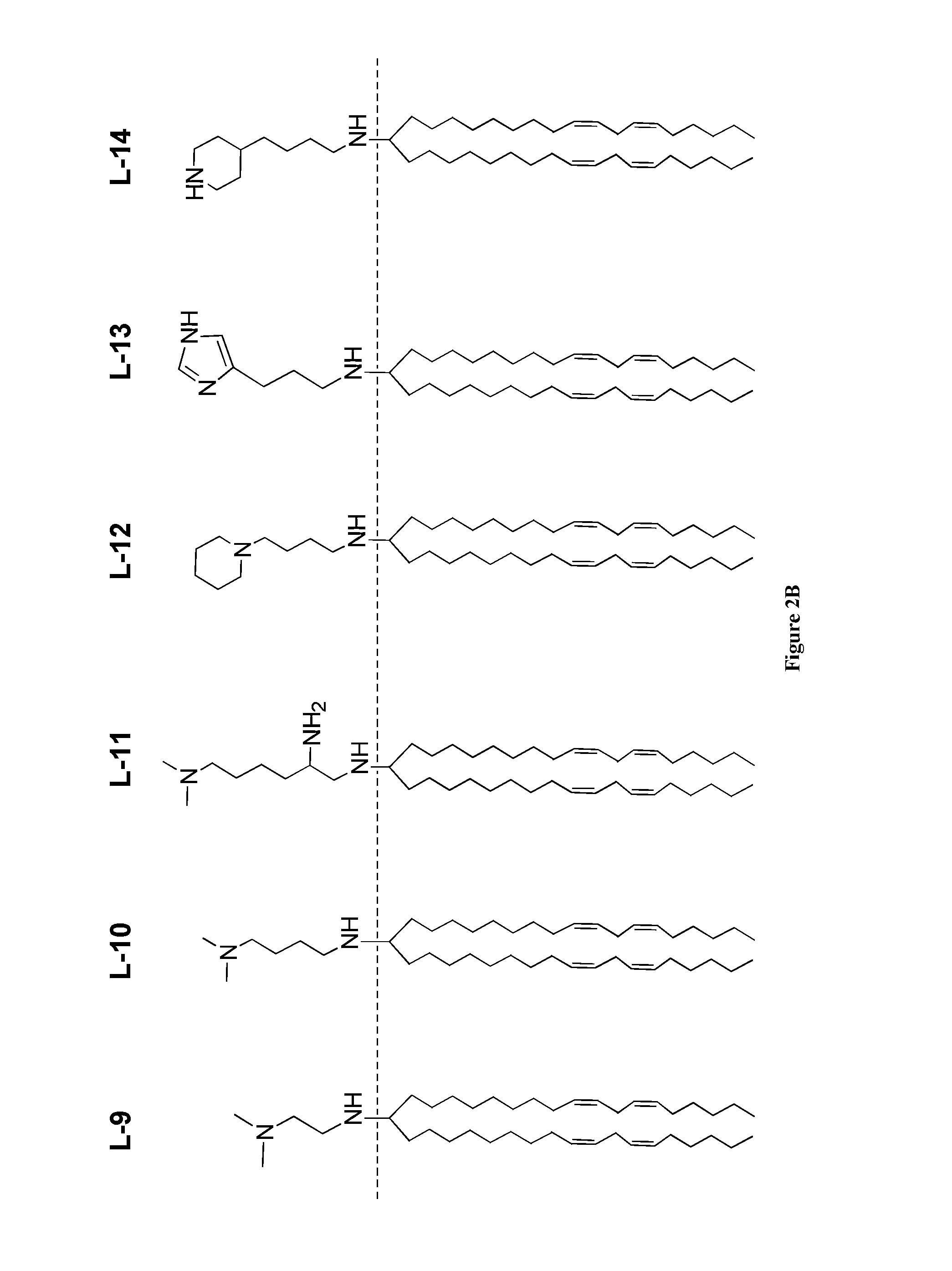 Amine Cationic Lipids and Uses Thereof