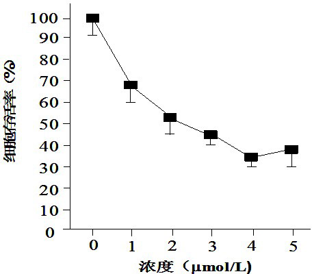 Application of tetracycline derivative in preparing sensitizing drug for radiotherapy