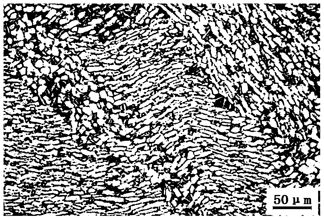 Low-cost efficient preparation method for two-phase titanium alloy round rod