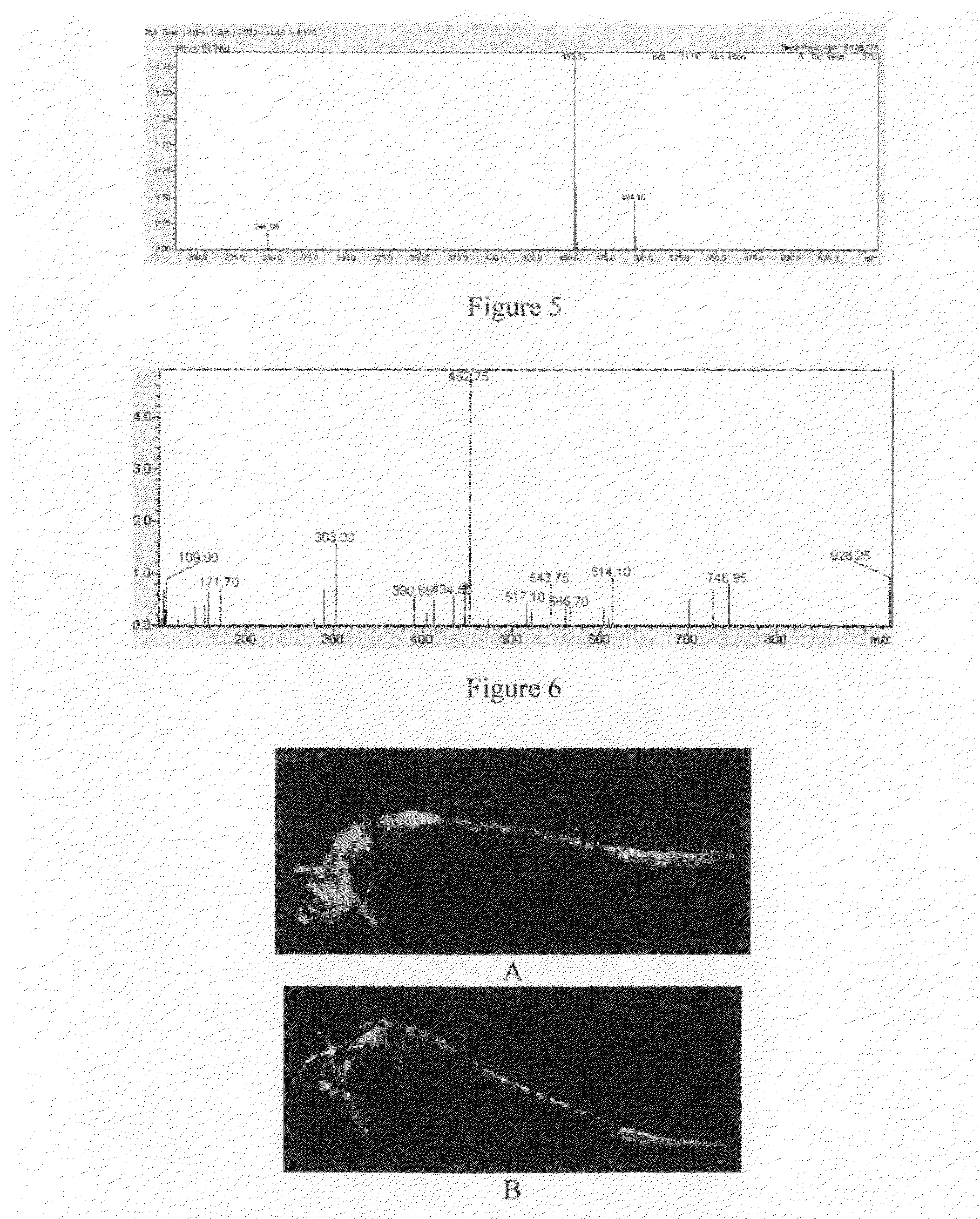 Anti-angiogenesis compound, intermediate and use thereof