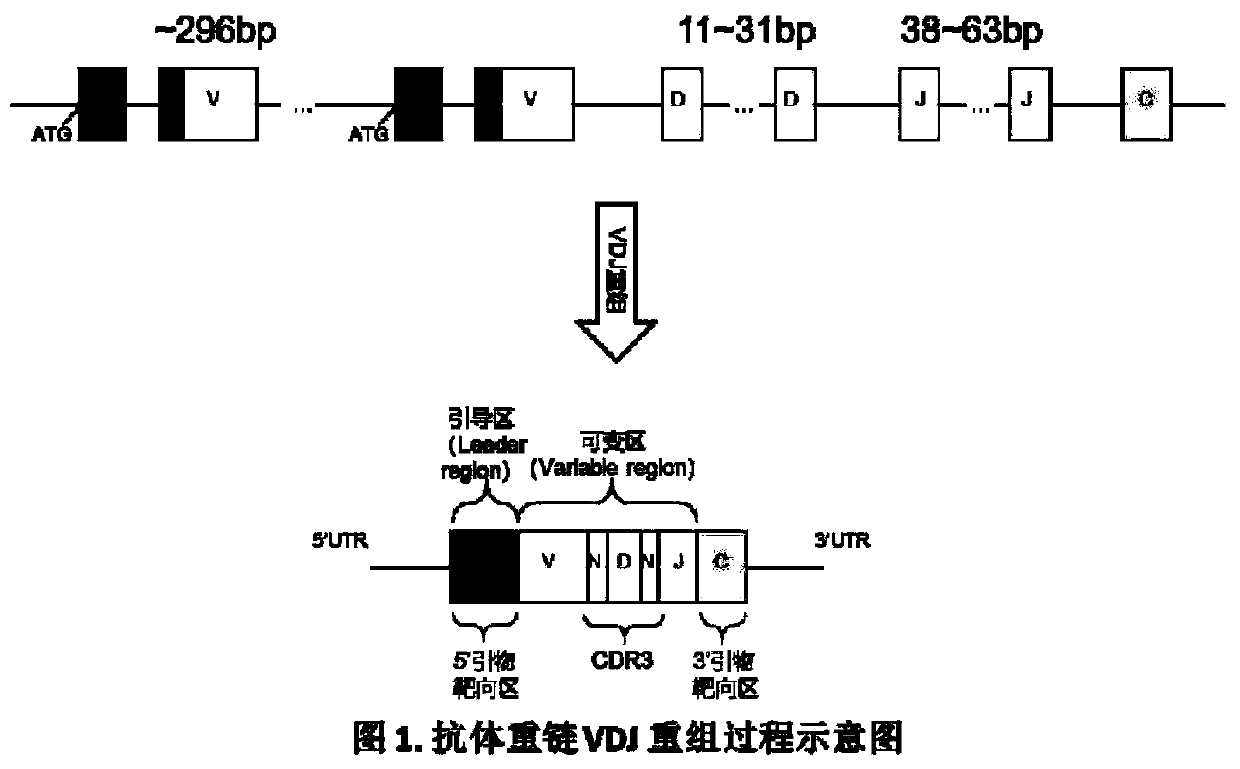 Immunological group library method for discriminating cross reaction between samples and self-cross-reaction of independent sample