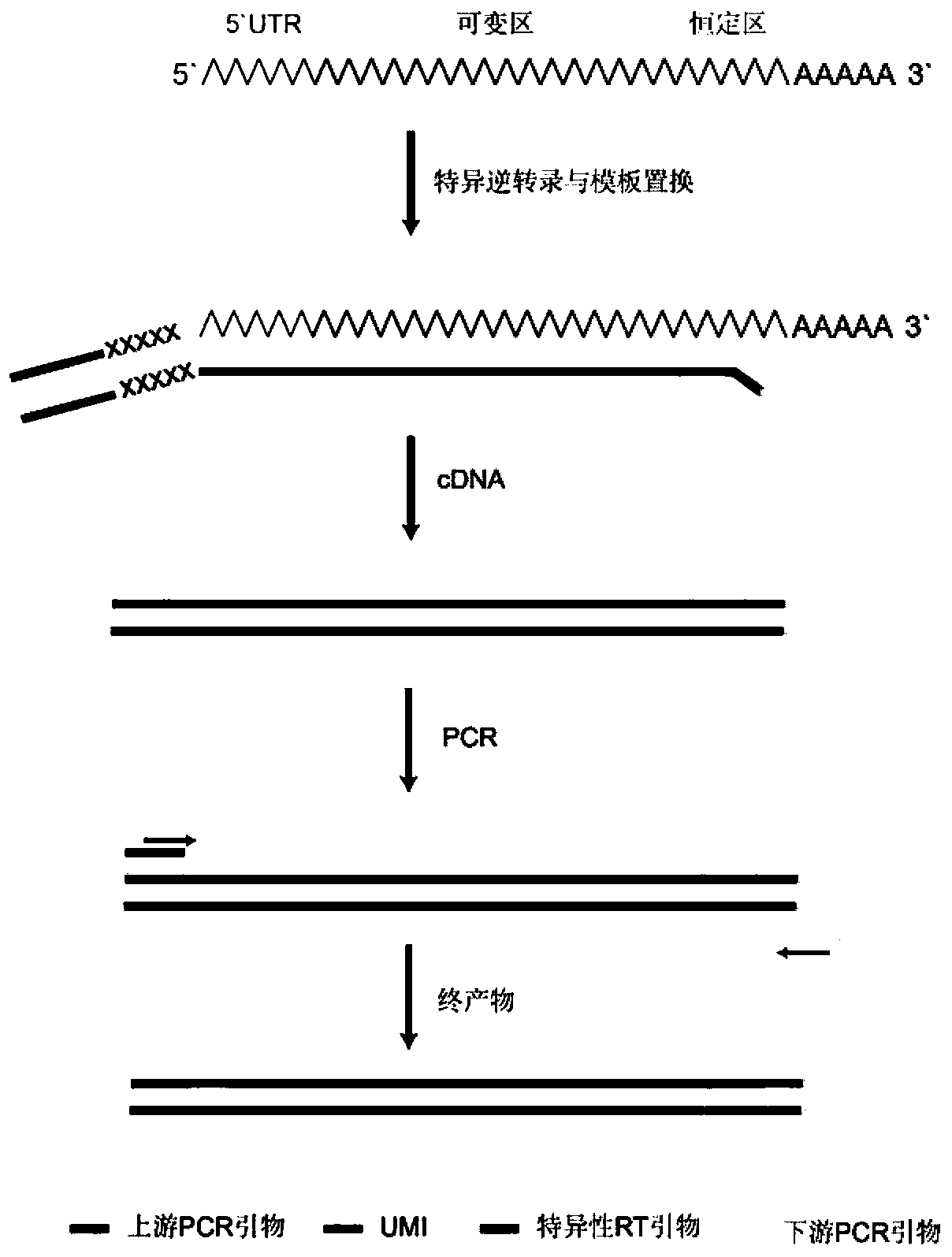 Immunological group library method for discriminating cross reaction between samples and self-cross-reaction of independent sample