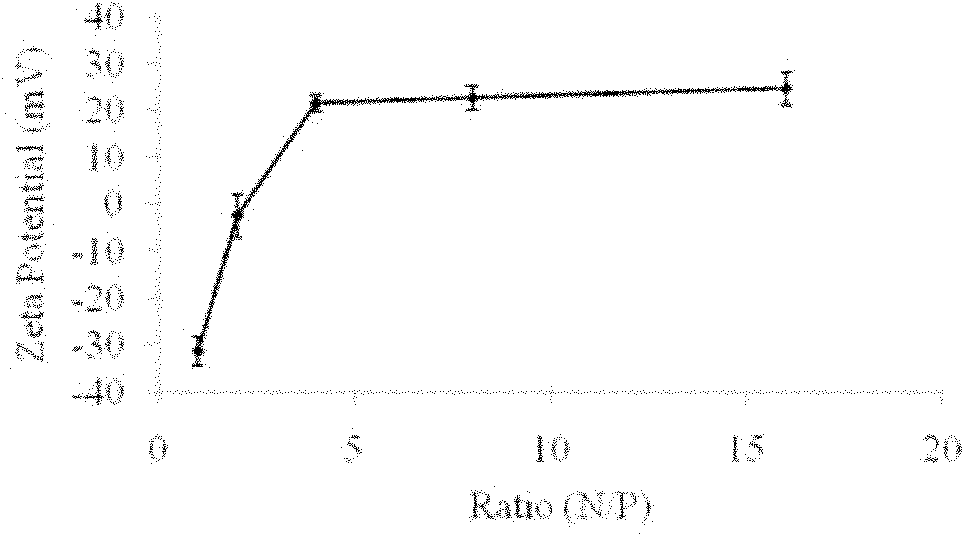 Short peptide and application thereof