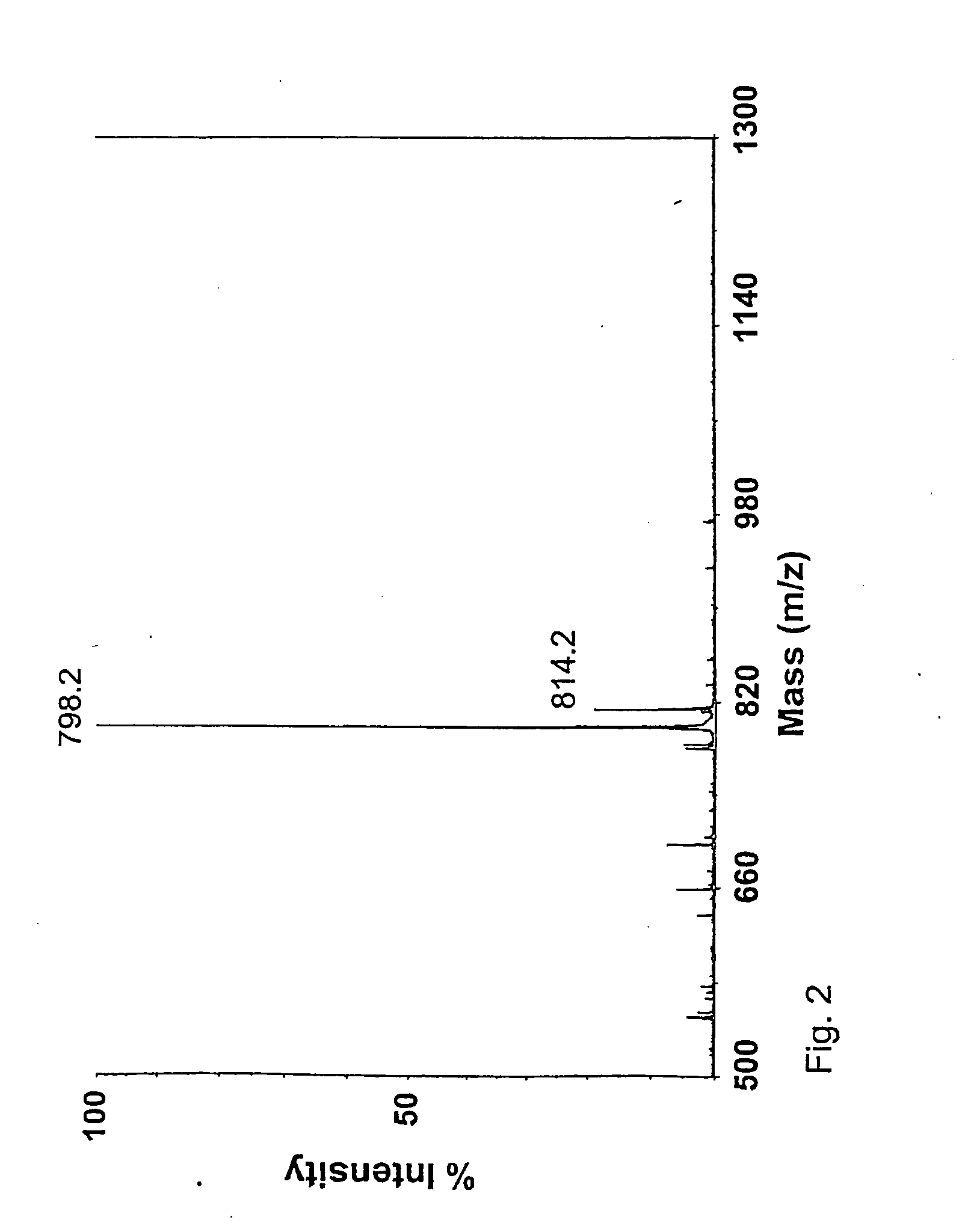 Novel binding epitopes for helicobacter pylori and use thereof