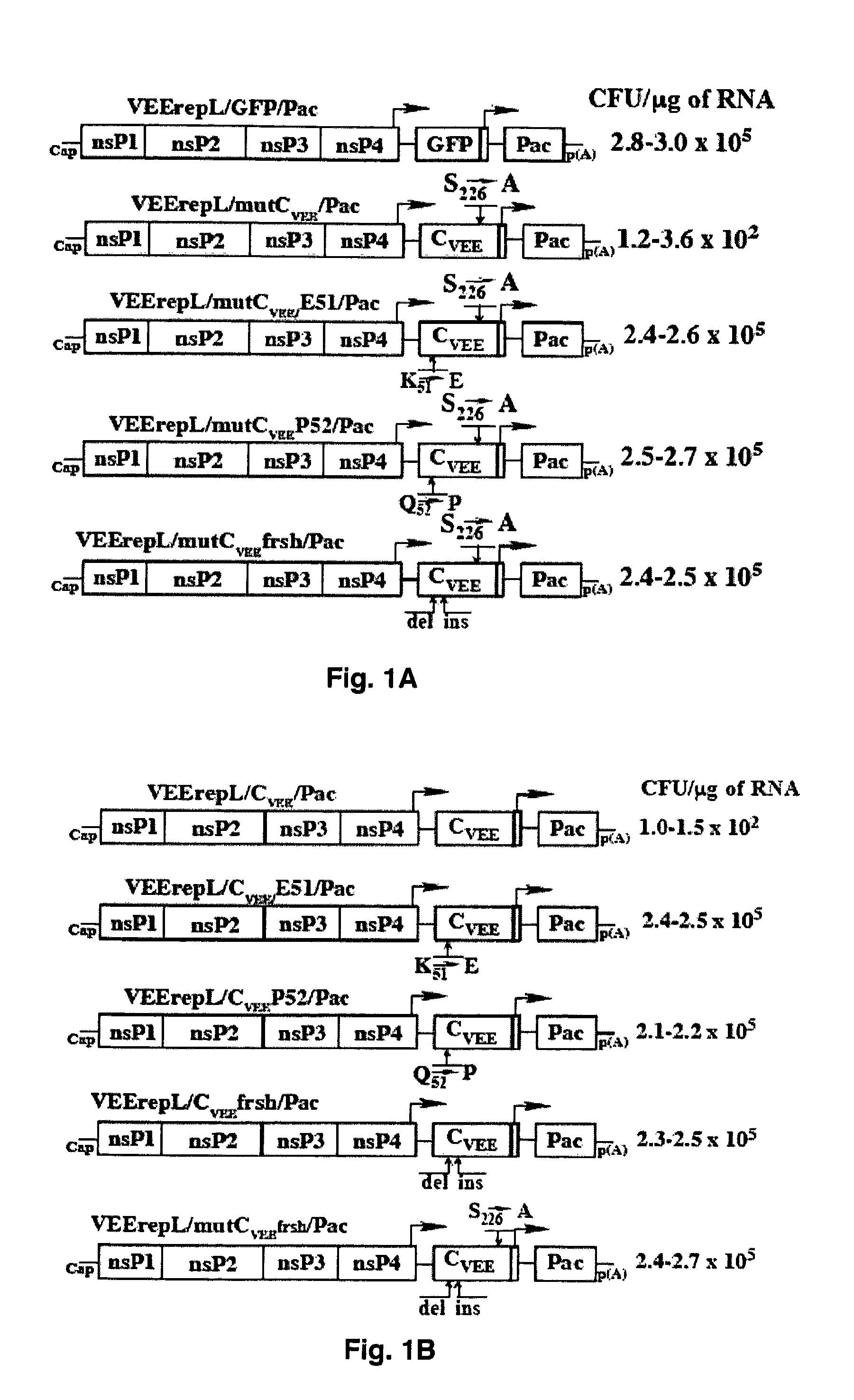 Attenuation of encephalitogenic alphavirus and uses thereof