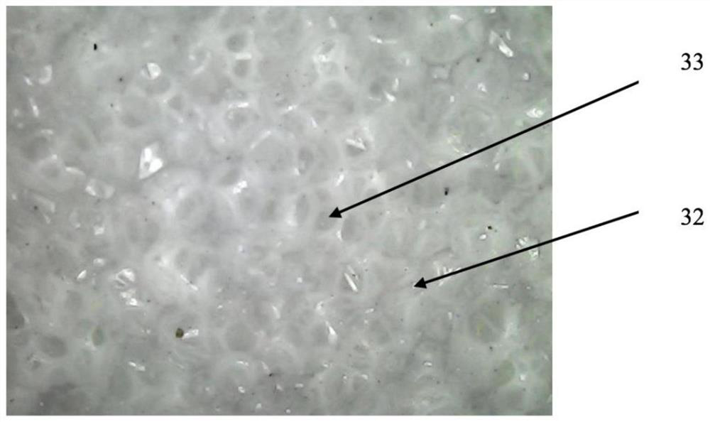 A kind of equipment and process for sealing holes on the surface of cellular polymer foam core material