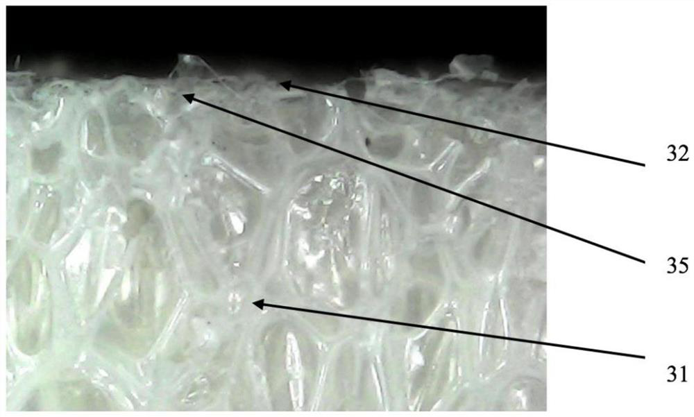 A kind of equipment and process for sealing holes on the surface of cellular polymer foam core material