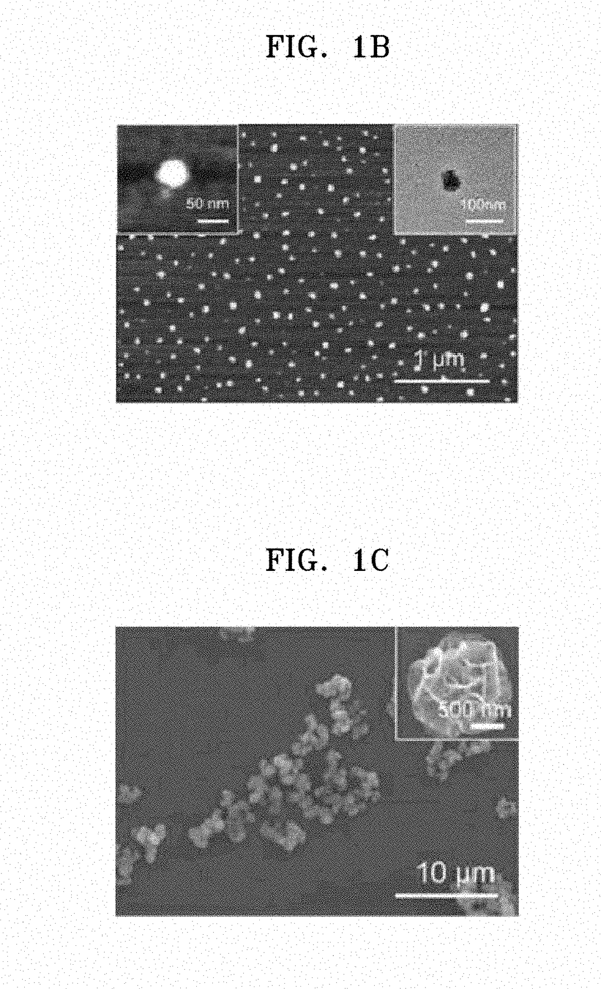 Self-assembled ribonucleoprotein nanoparticles