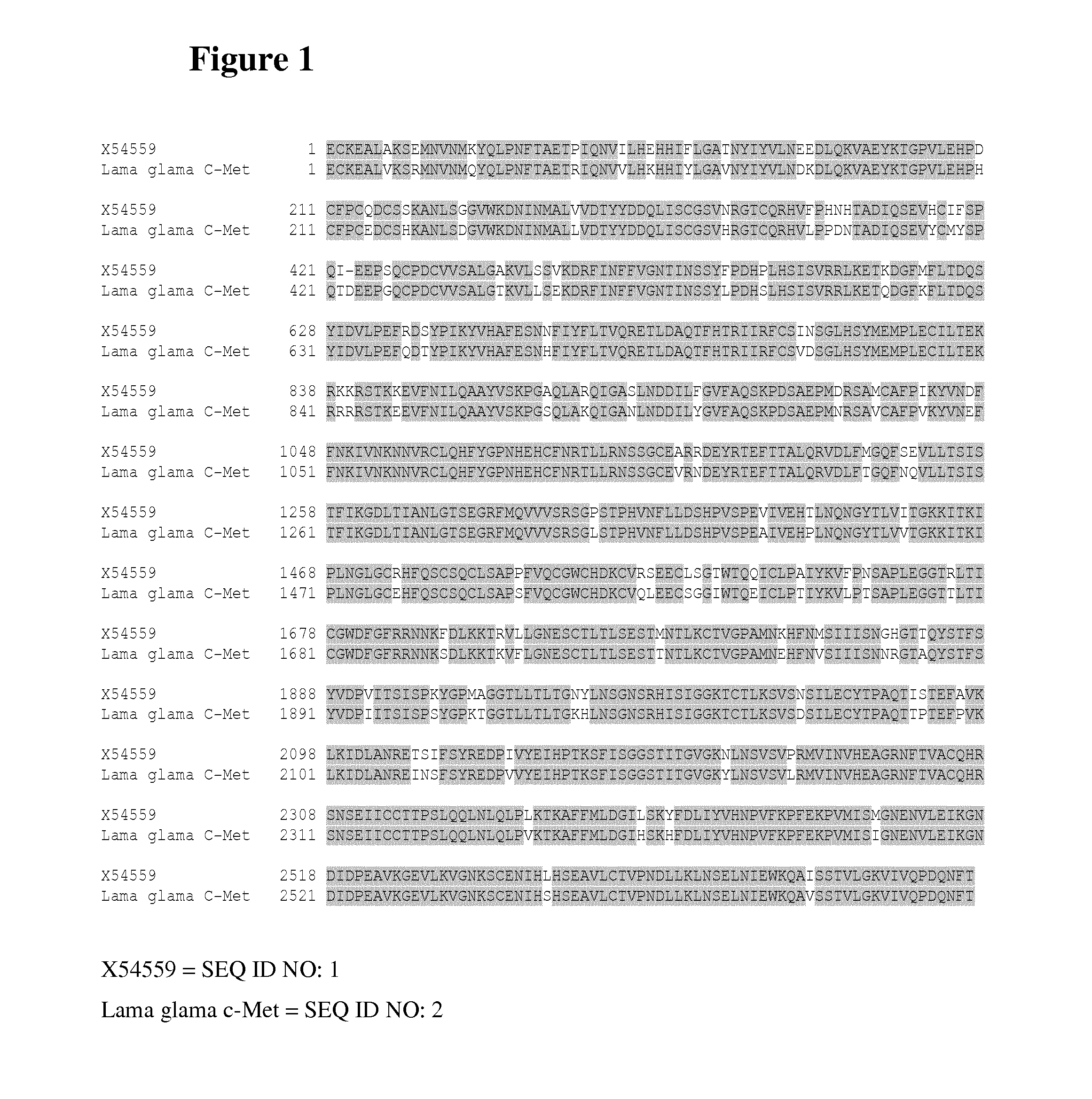 Chimeric human-llama antigens and methods of use