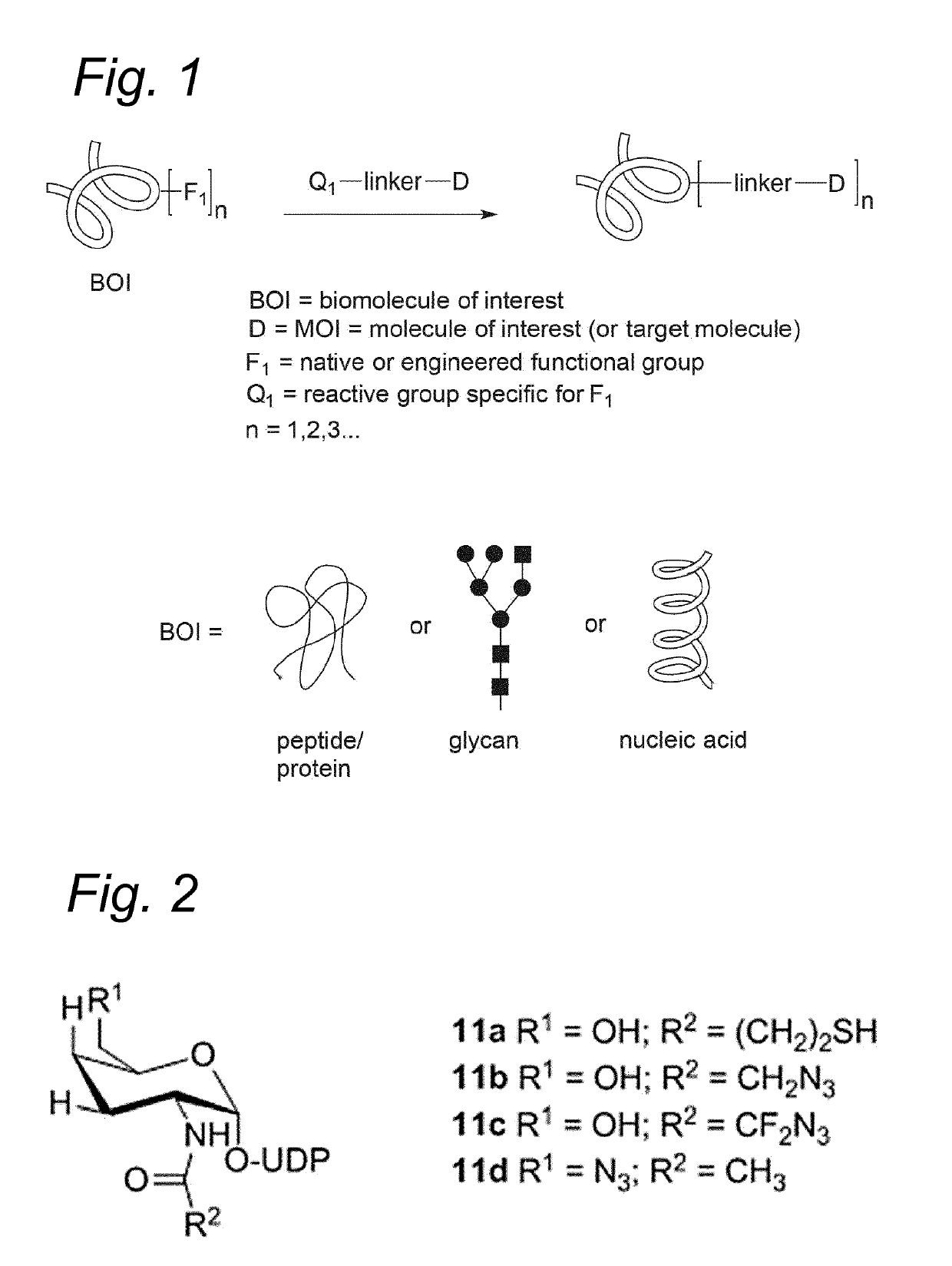 Bioconjugates containing sulfamide linkers for use in treatment