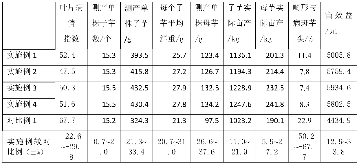 Cultivation method for overcoming continuous cropping obstacles of taros