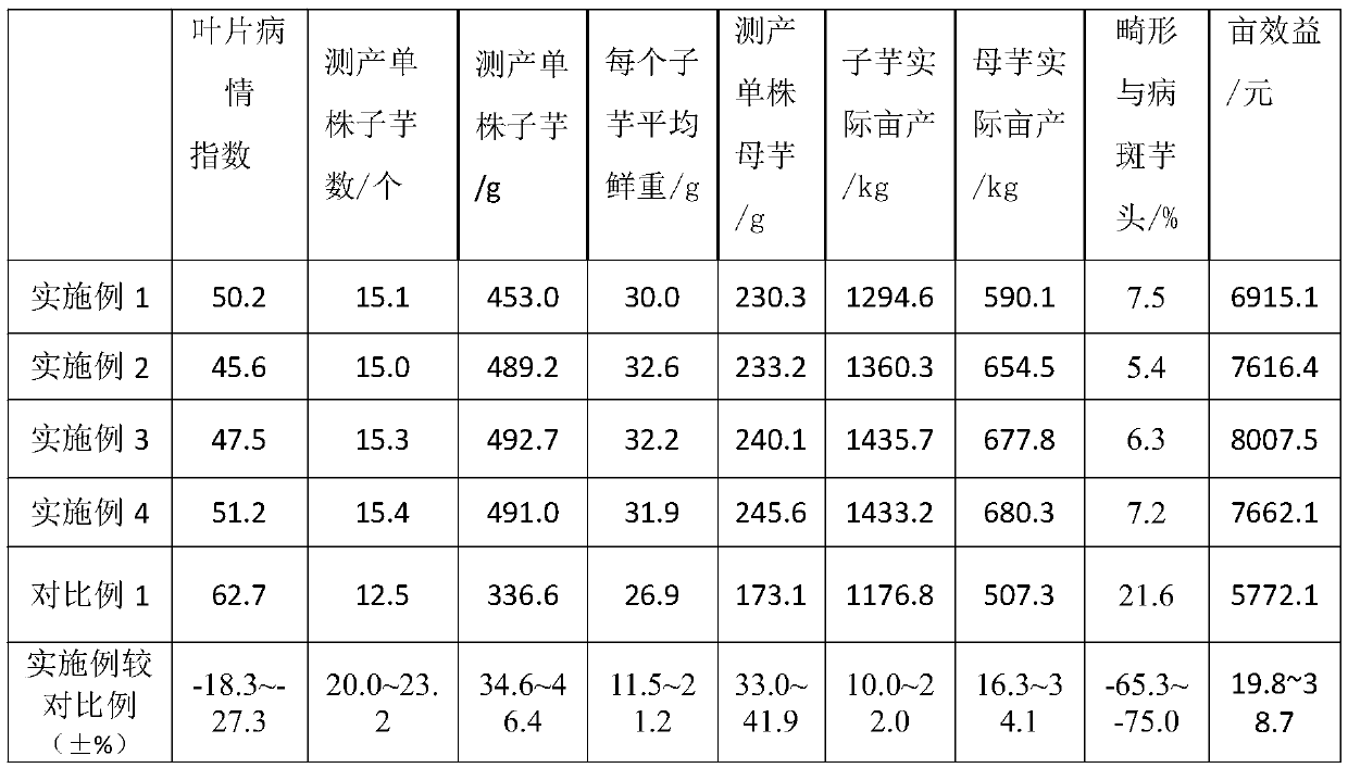 Cultivation method for overcoming continuous cropping obstacles of taros