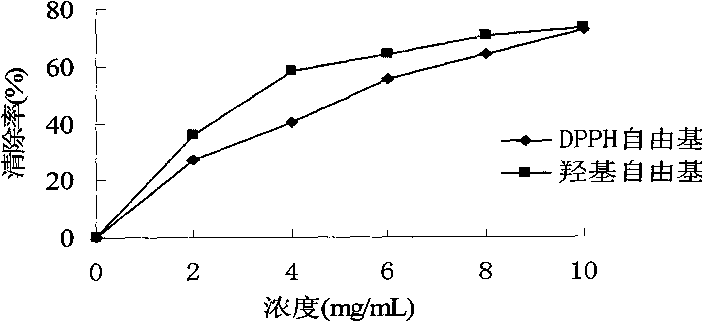 Whey protein active peptide with antioxidant activity and preparation method thereof