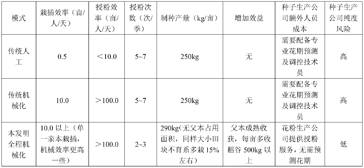 Breeding and seed production method for hybrid rice