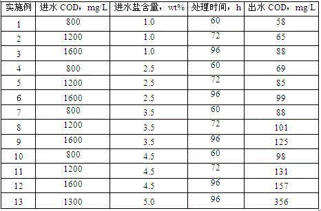 Microbacterium kitamiense and culture application thereof