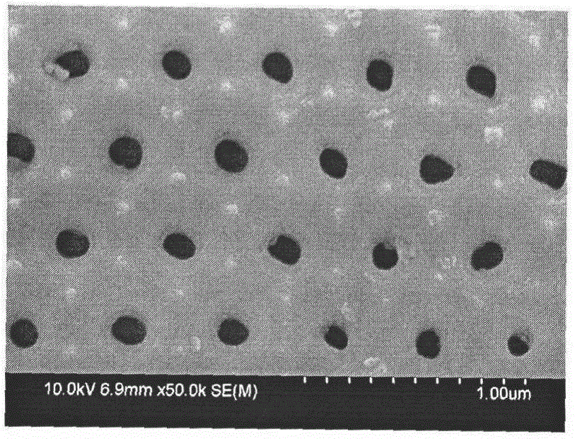 Method for preparing neat porous anodic alumina film