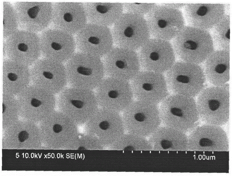 Method for preparing neat porous anodic alumina film