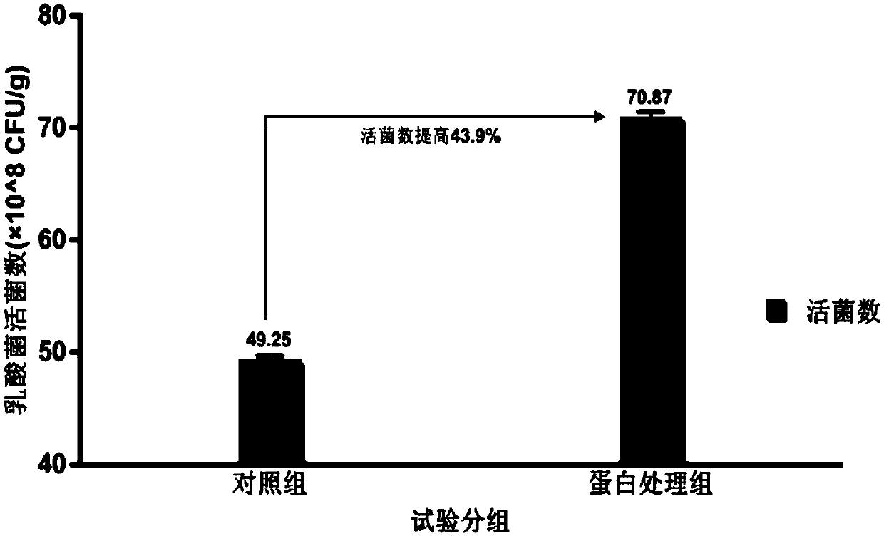 A compound probiotic fermented alfalfa sprout powder preparation and its preparation method and application