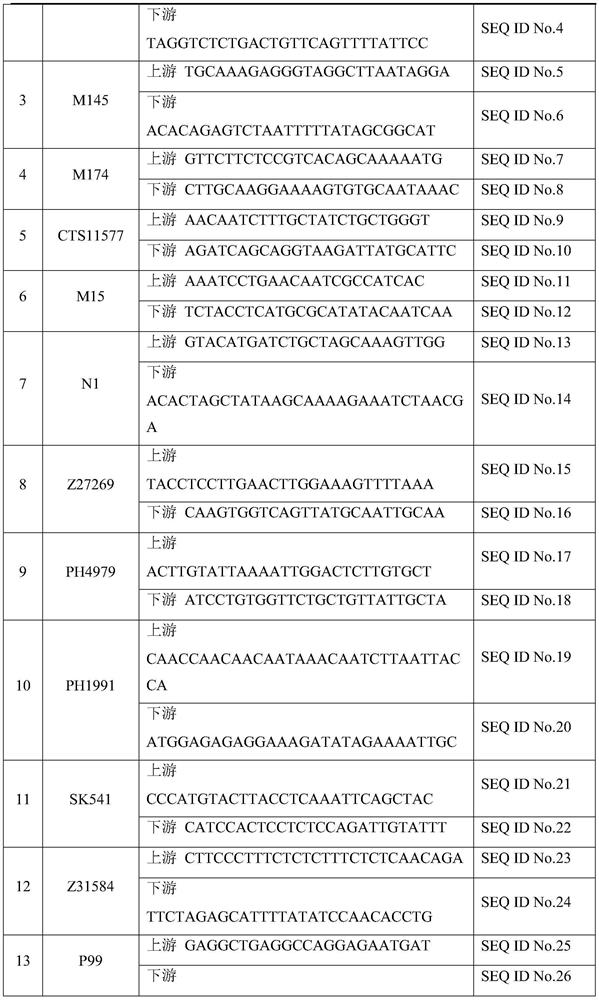 Forensic next-generation sequencing kit based on 165 y-snps