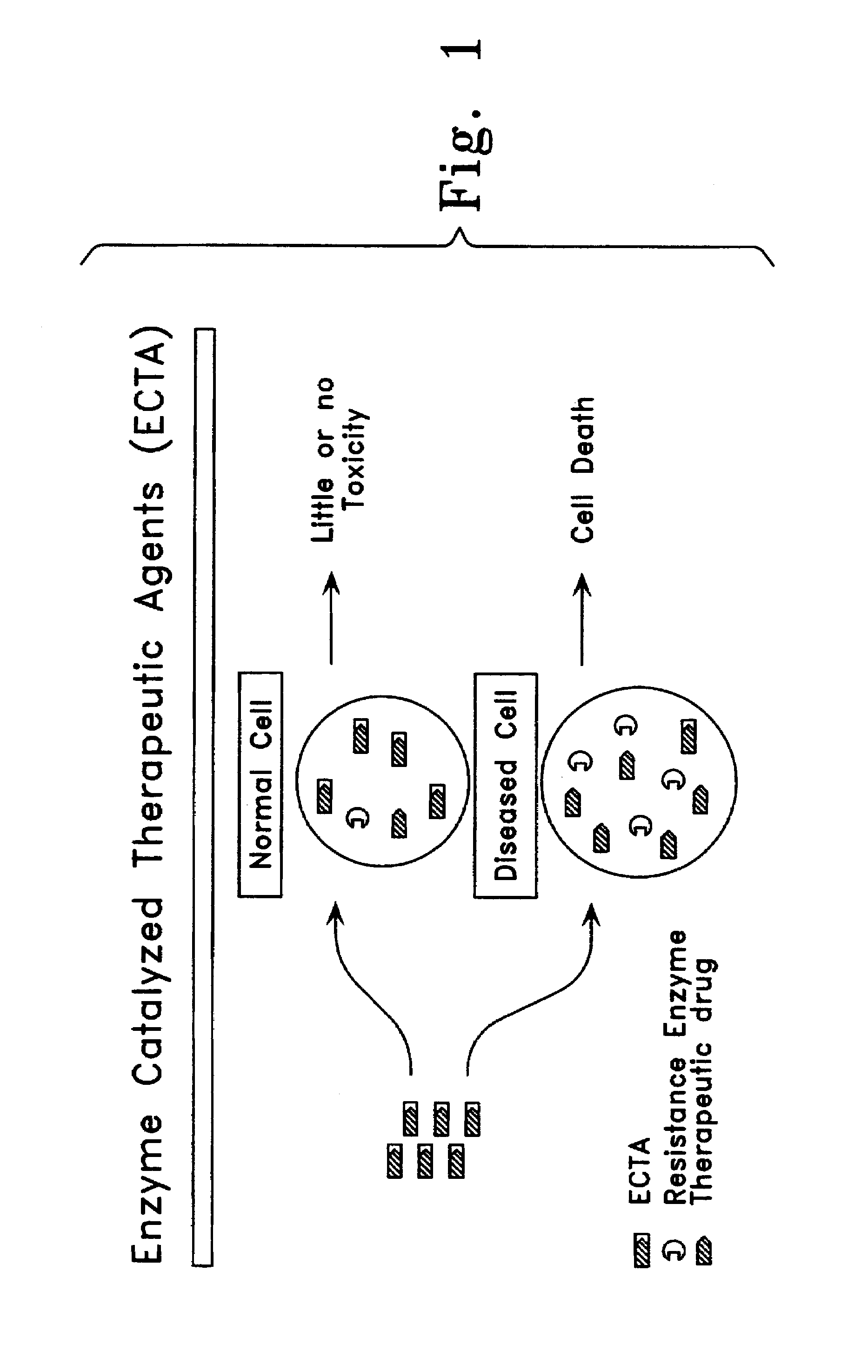Methods for treating therapy-resistant tumors