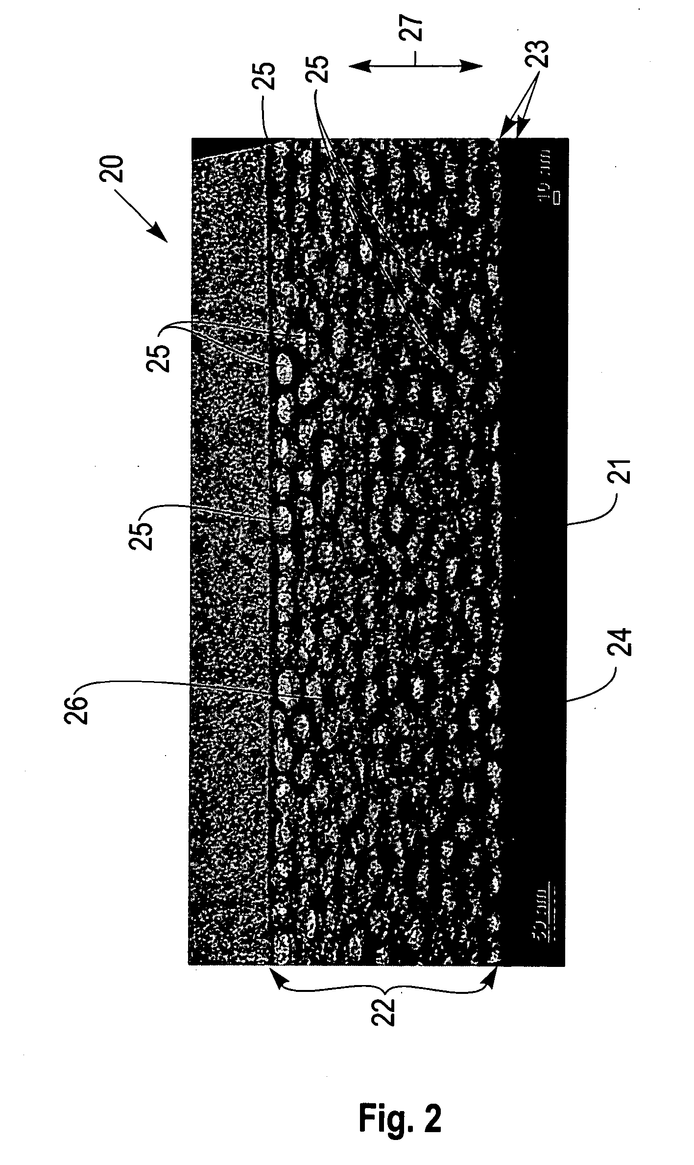 Materials having predefined morphologies and methods of formation thereof