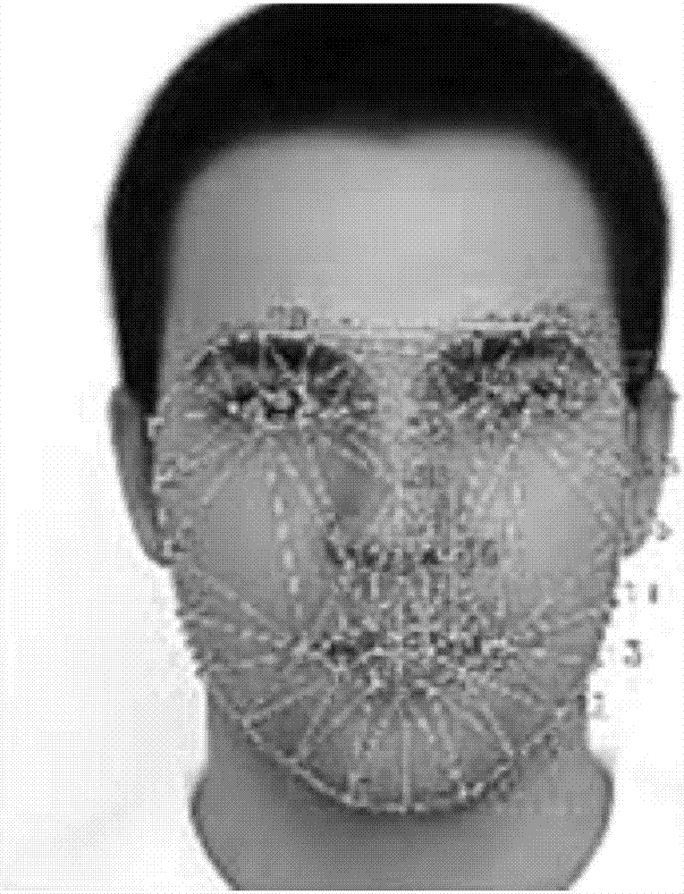 Automatic making up method of three-dimensional Beijing opera facial makeup