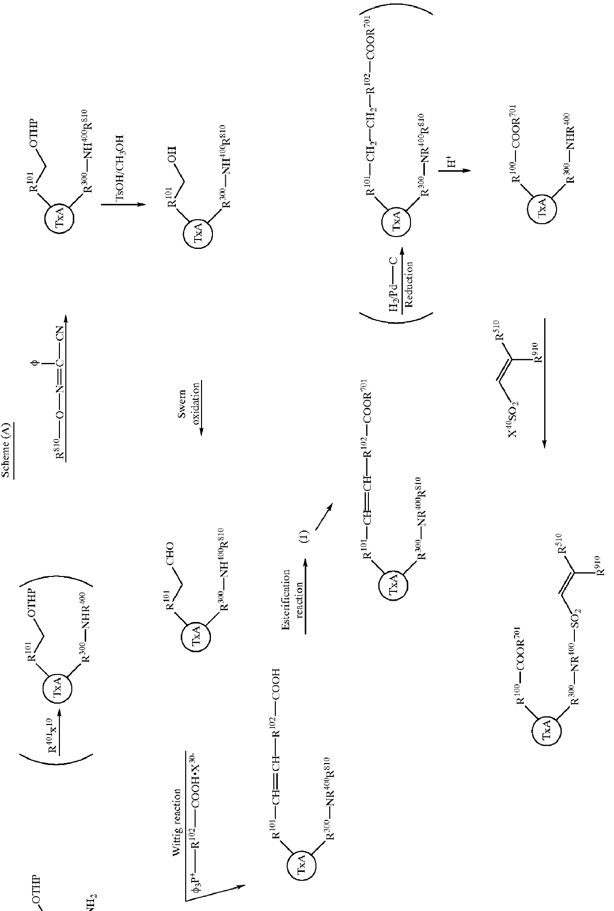 Carbocyclic sulfonamides