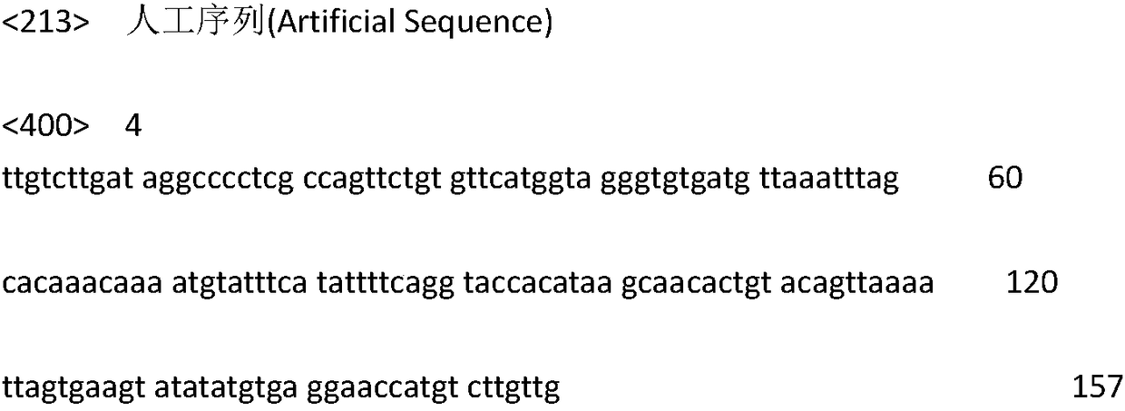 A molecular marker closely linked to kiwi fruit soluble solids trait qtl locus and its application