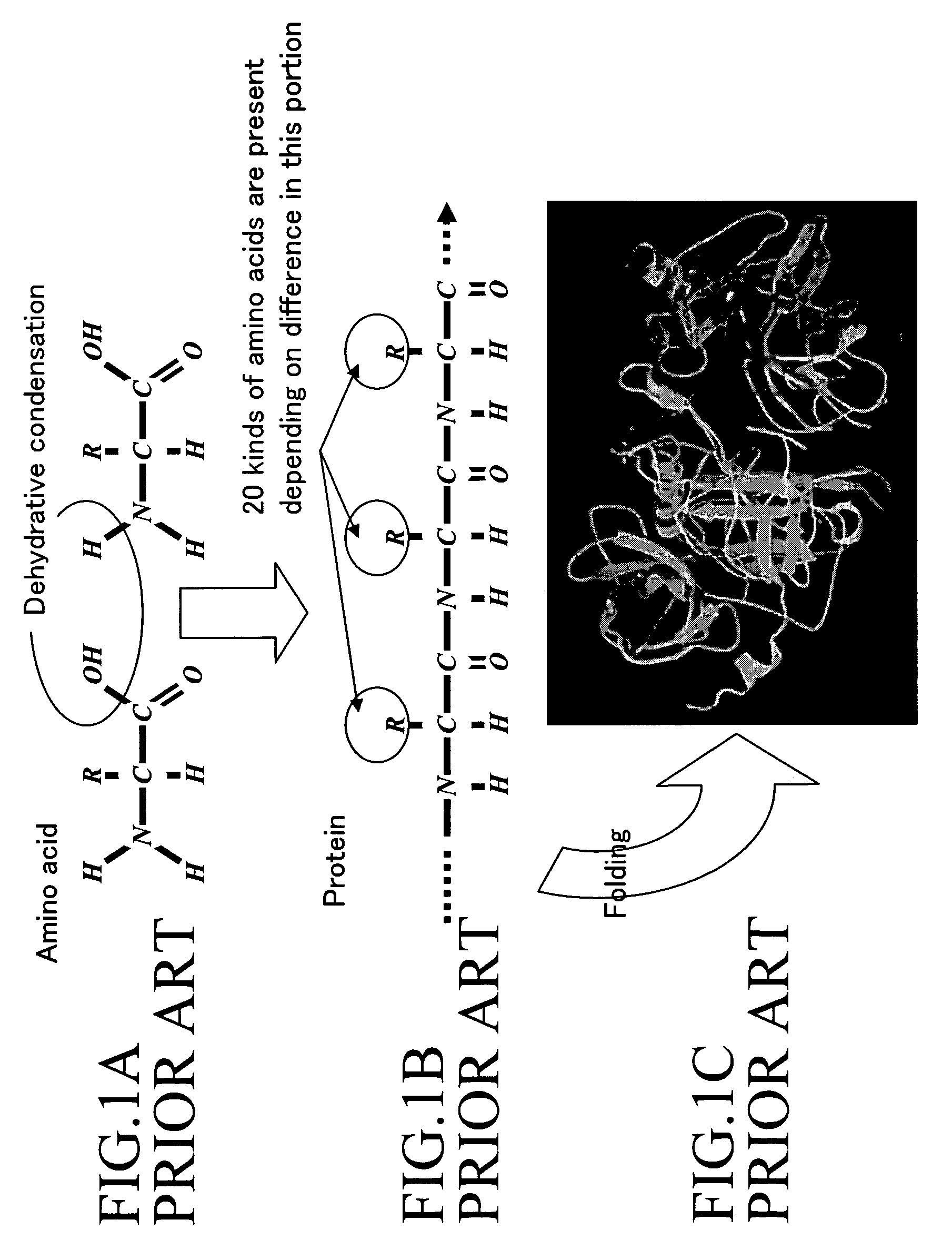 Conductive peptide nanofiber and method of manufacture of the same