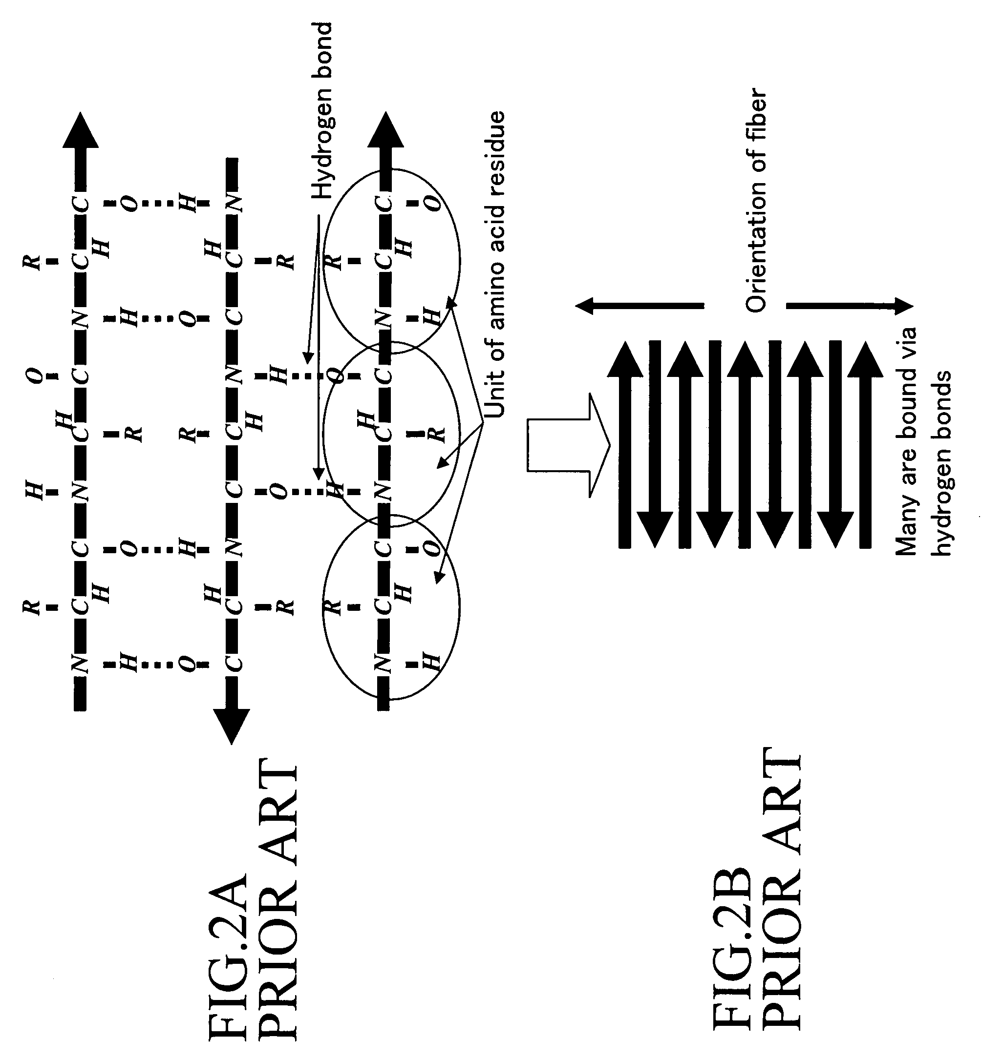 Conductive peptide nanofiber and method of manufacture of the same