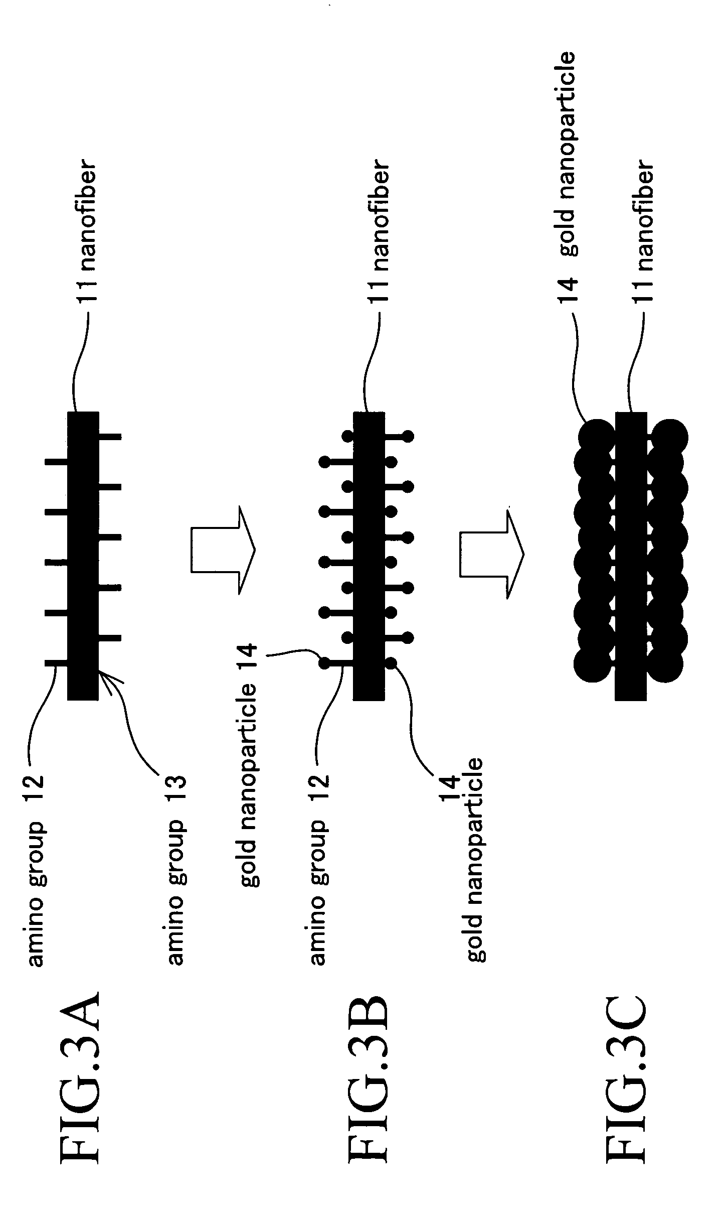 Conductive peptide nanofiber and method of manufacture of the same