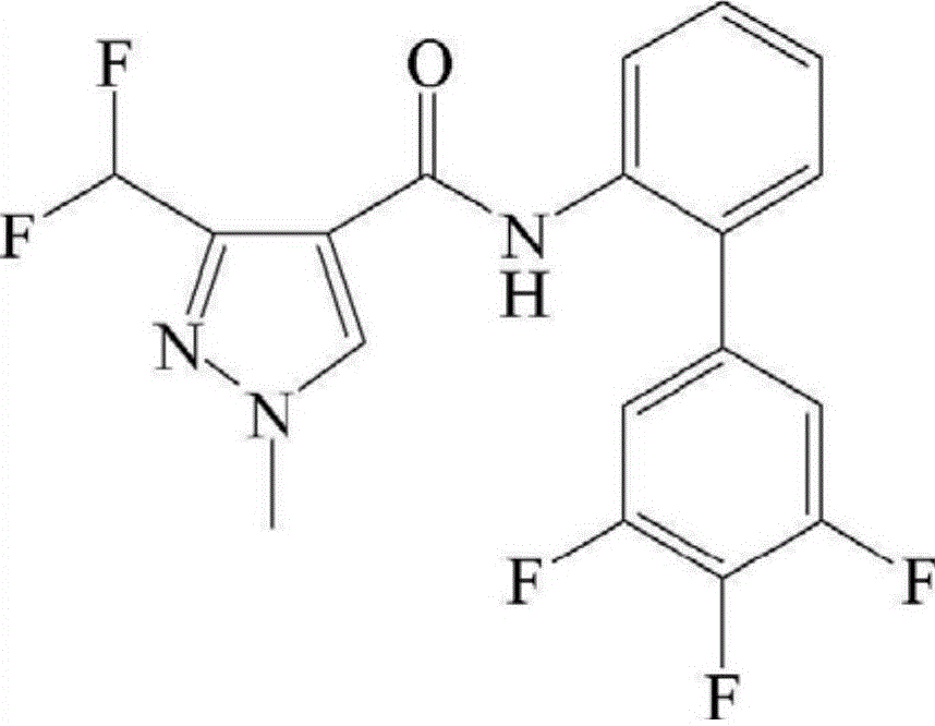 Bactericide composition containing metconazole and fluxapyroxad