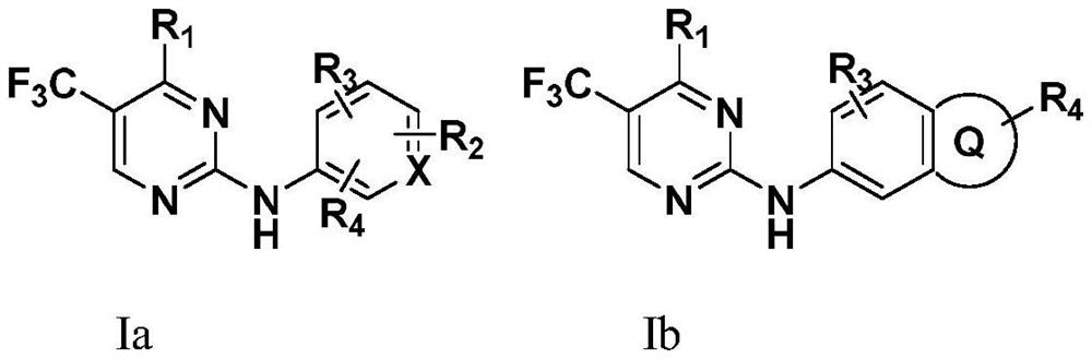 N2-carbamylaryl-2-aminopyrimidine derivative and medical application thereof