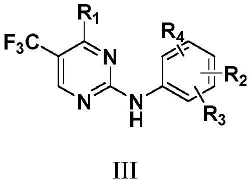N2-carbamylaryl-2-aminopyrimidine derivative and medical application thereof