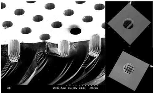 Nested micro-trap structure for inhibiting secondary electron emission and preparation method