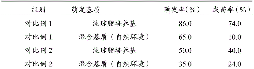 Dendrobium officinale nano artificial seed and preparation method thereof