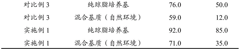 Dendrobium officinale nano artificial seed and preparation method thereof